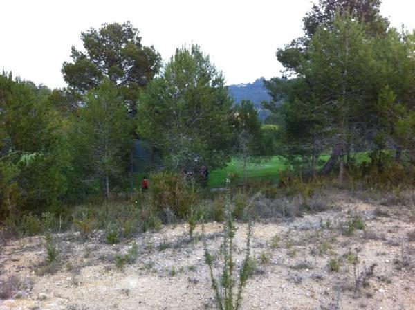 Terreno en calle urbanización el Bosque, 22