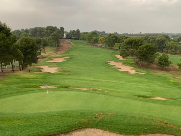 Terreno en calle urbanización el Bosque, 22