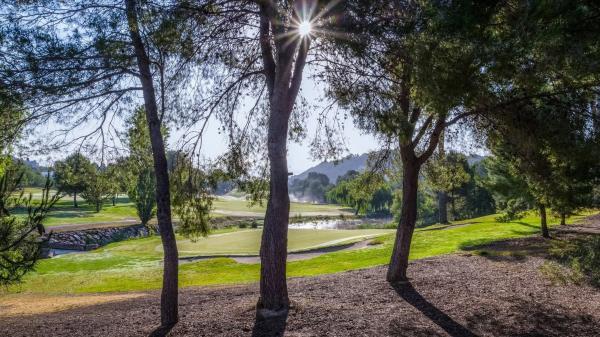 Terreno en calle urbanización el Bosque, 22