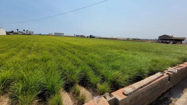Terreno en Partida de Saboia