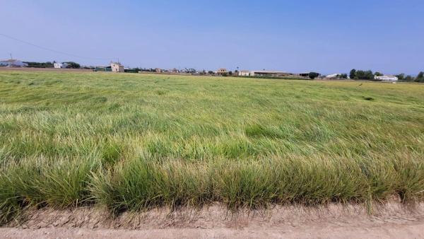 Terreno en Partida de Saboia