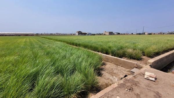 Terreno en Partida de Saboia