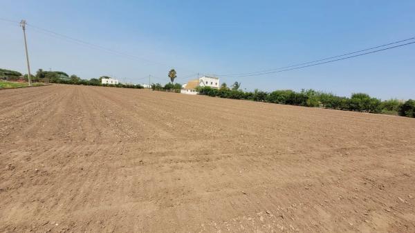 Terreno en Partida de Saboia