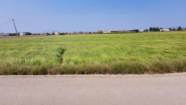 Terreno en Partida de Saboia