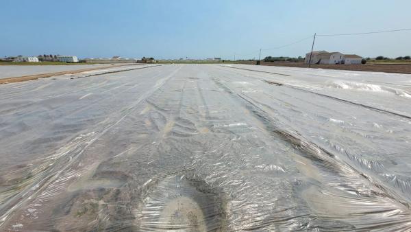 Terreno en Partida de Saboia