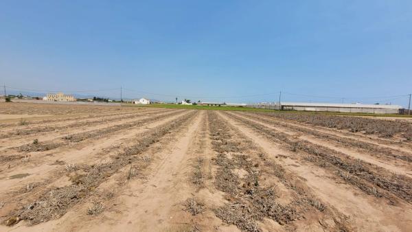 Terreno en Partida de Saboia