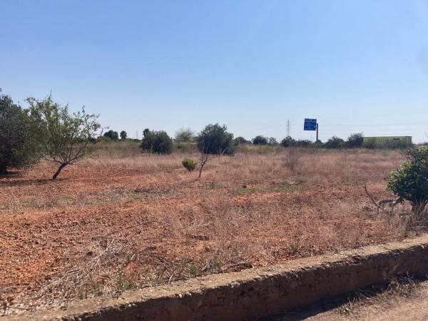 Terreno en Maimona 122 Polígono 28 Parcela 163, 122 MaimonaPolgonoParcela