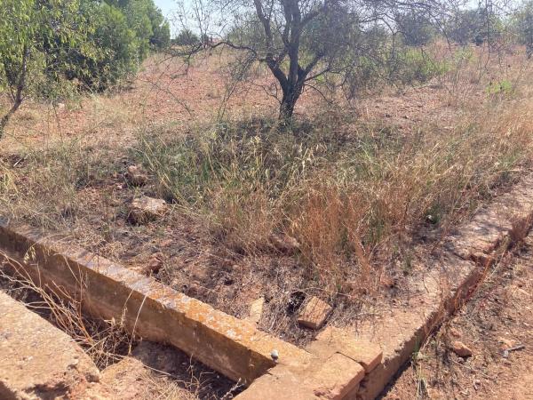 Terreno en Maimona 122 Polígono 28 Parcela 163, 122 MaimonaPolgonoParcela