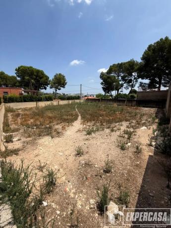 Terreno en Centro Ciudad