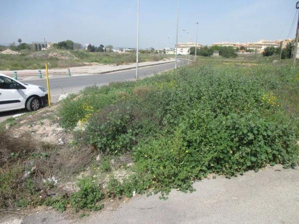 Terreno en calle dels Molins