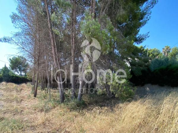 Terreno en La Cañada