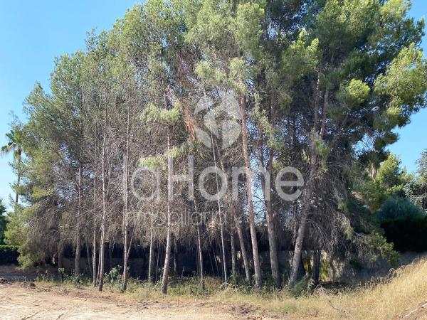 Terreno en La Cañada