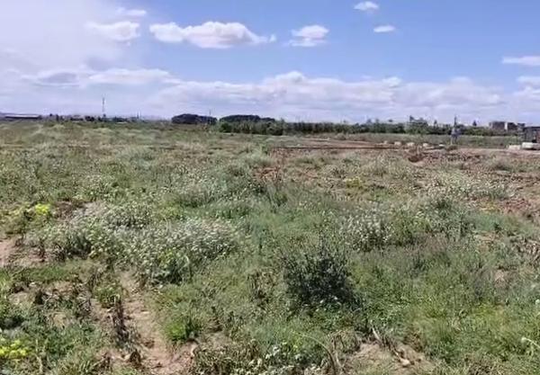 Terreno en camino Calvario s/n