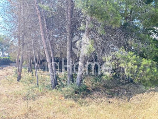 Terreno en La Cañada