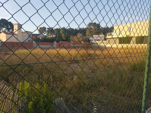 Terreno en calle Pintor Cortina