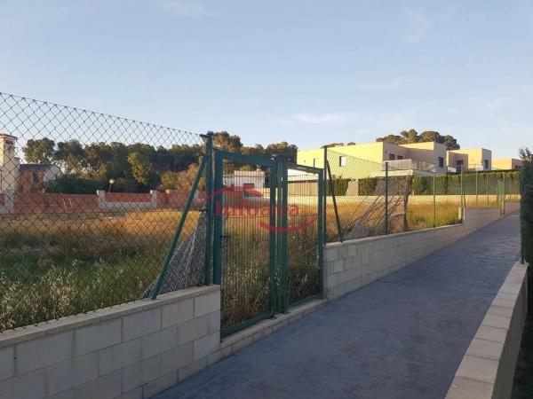 Terreno en calle Pintor Cortina