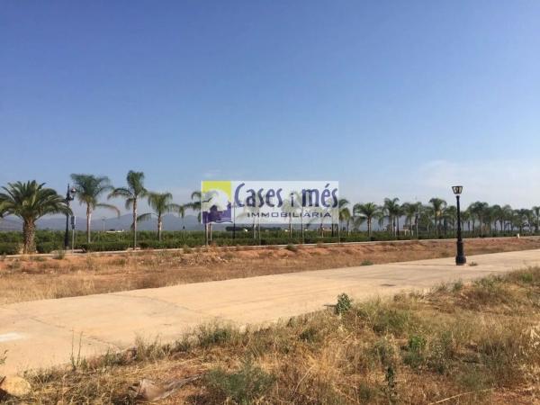 Terreno en calle Jesus Maria Pedrosa