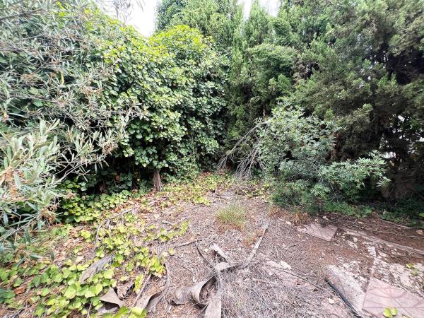 Terreno en calle 289