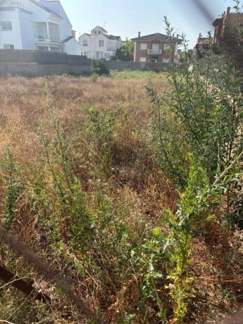 Terreno en calle Infanta Elena