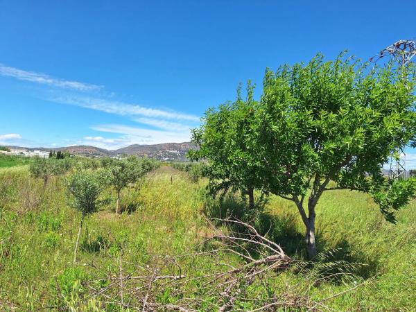 Terreno en camino brosquil s/n