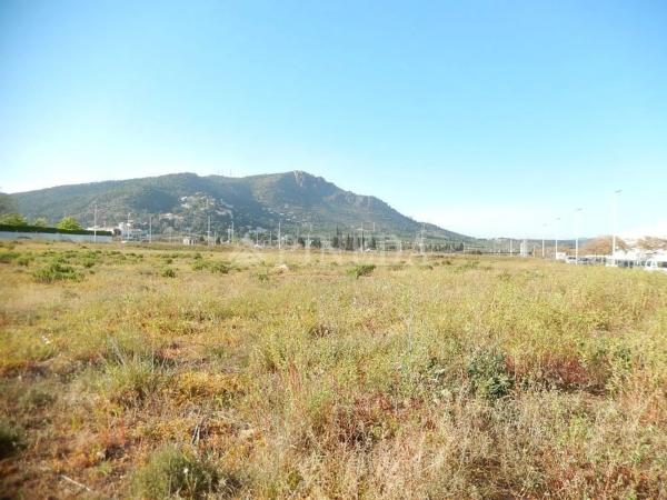 Terreno en calle Moreres