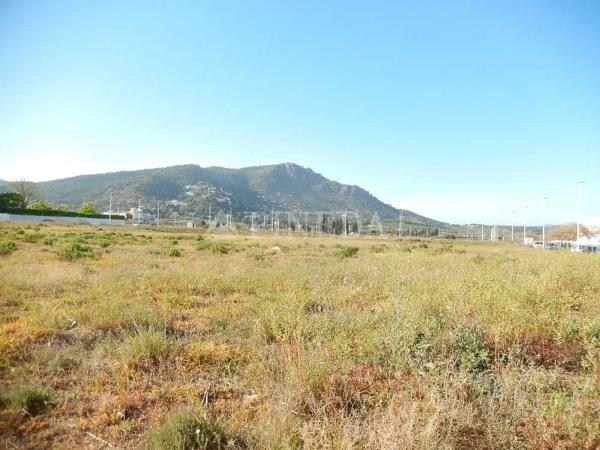 Terreno en calle Moreres