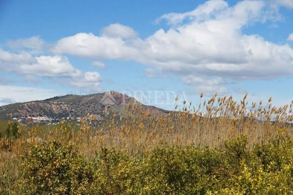 Terreno en Zona Alta