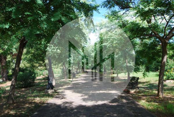 Terreno en calle Camp de Morvedre