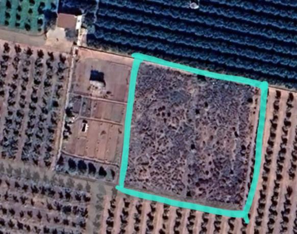 Terreno en camino de la Marquesa i Pla d'Andanes s/n