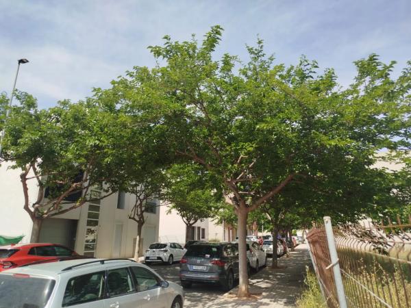 Terreno en calle les Moreres, 26