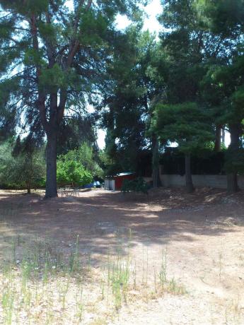 Terreno en calle 502, 22