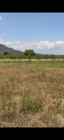 Terreno en camino de L'Assagador s/n