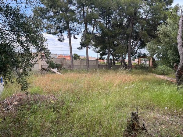 Terreno en calle 102, 1