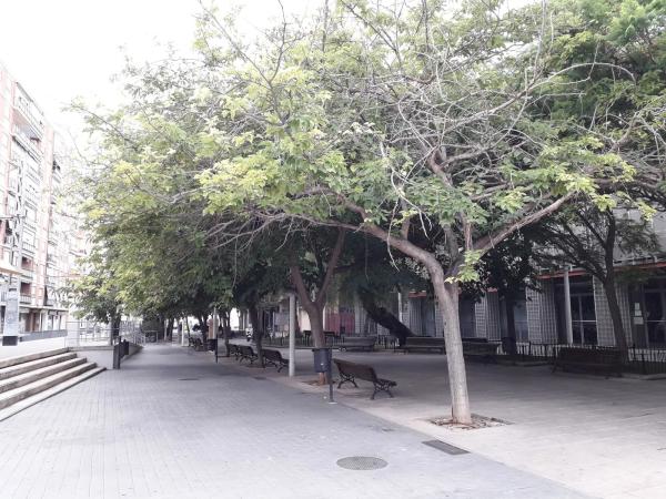 Terreno en José María Izquierdo Soro