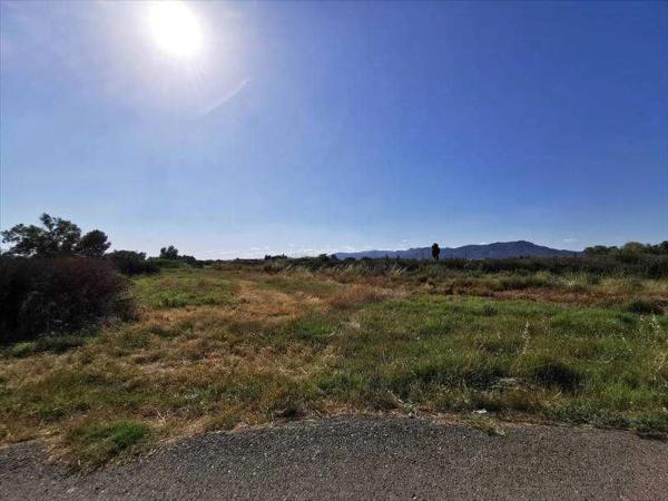 Terreno en camino els Plans