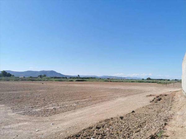 Terreno en camino els Plans