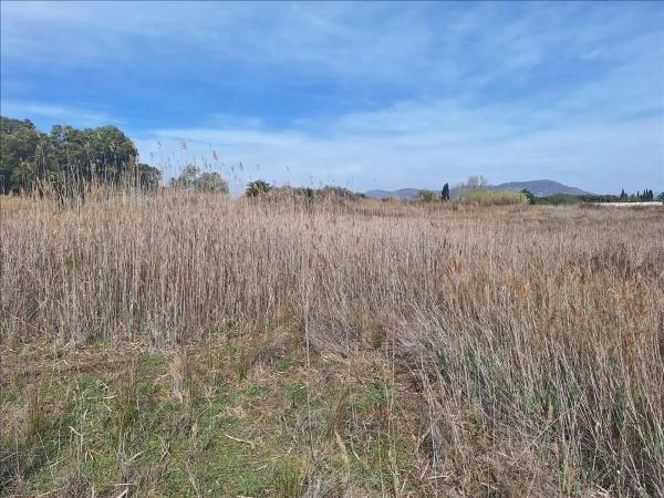 Terreno en camino els Plans