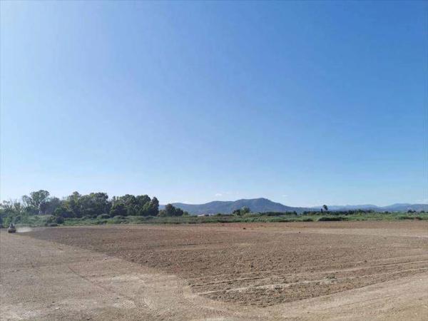 Terreno en camino els Plans