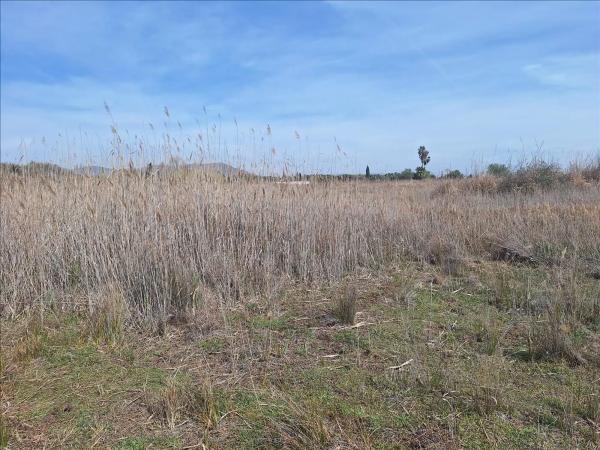 Terreno en camino els Plans