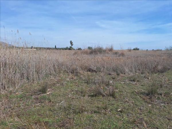 Terreno en camino els Plans