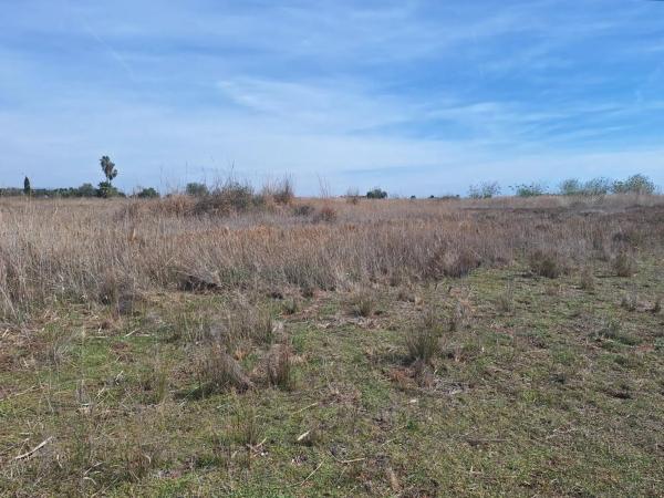 Terreno en camino els Plans