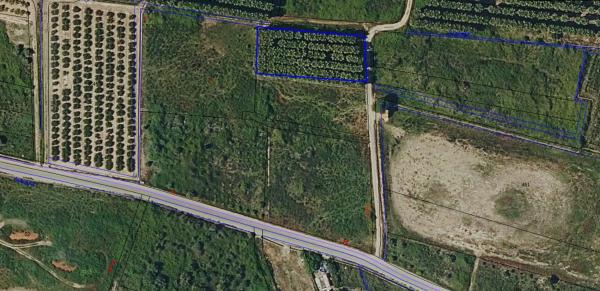 Terreno en camino els Plans