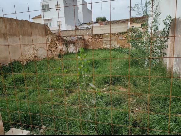 Terreno en Dr. Buen, 19 -21