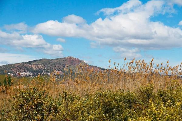 Terreno en Zona Alta
