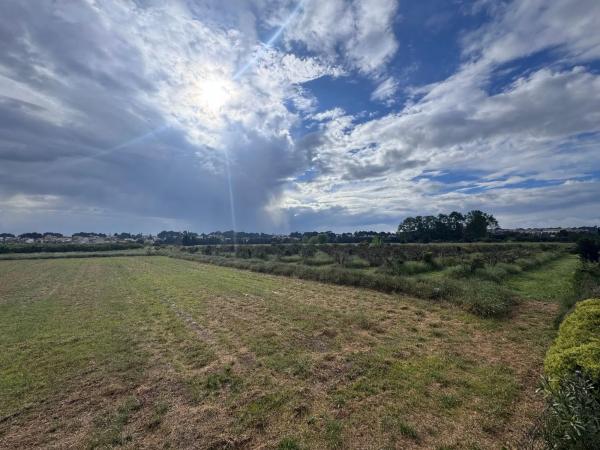 Terreno en Poligono 15 Parcela 66