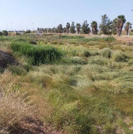 Terreno en calle Holanda