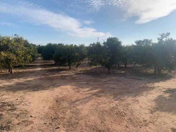 Terreno en camino Vinalesa, 10