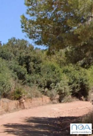 Terreno en calle Alt Maestrat s/n