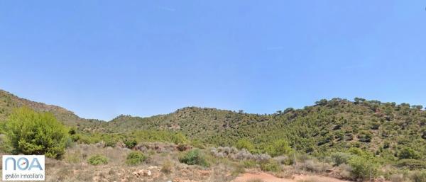 Terreno en calle Alt Maestrat s/n