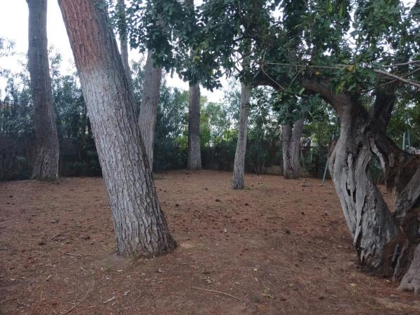 Terreno en Desconocido